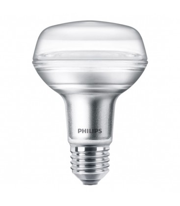 Ampoule LED E27 Philips 100 W Blanc Chaud - Deliled