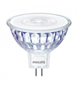 Ampoule LED E27 Philips décorative à filament - LED classic-giant 40W E27  T65 GOLD DIM - Decoreno