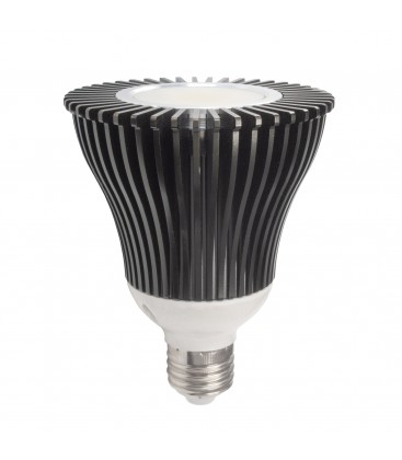 Ampoule LED E27 PAR30 20W Blanc Chaud - Deliled