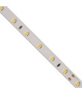 5 mètres de Ruban LED - 24V- 14,4W/m - 60 LEDs/m - SMD 2835 - IP20