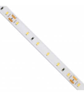 Ruban LED Bleu, Vert, Rouge, Blanc 5m 12V cc, IP65