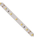 5 mètres de Ruban LED - 24V- 14,4W/m - 60 LEDs/m - SMD 2835 - IP20 - Blanc Neutre