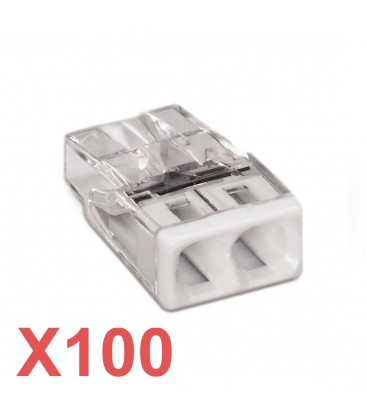 Lot de 100 WAGO borne de raccordement - 2,5 mm² max. - 2 connexions