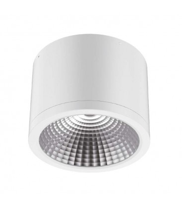 Spot LED Saillie Rond - 15W - COB