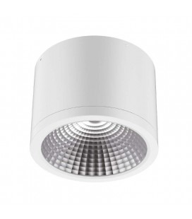 Spot LED Saillie Rond - 25W - COB