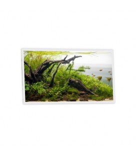 Pack de 1 dalle LED imprimée - Aquarium - 1200x600mm - Fabriqué en France (alimentation non fournie)