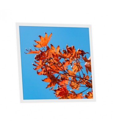 Pack de 1 dalle LED imprimée - Autumn - 600x600mm - Fabriqué en France (alimentation non fournie)