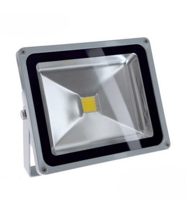 Projecteur LED Ecolife 12/24V DC - 30W - COB Bridgelux