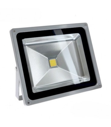 Projecteur LED Ecolife 12/24V DC - 50W - COB Bridgelux