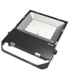 Projecteur LED WAVE - 50W - IP65 - Ecolife Lighting