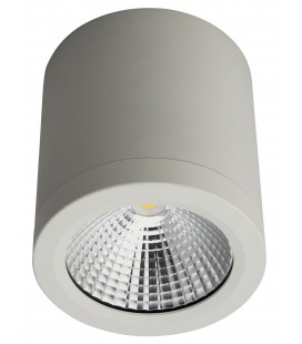 Applique murale / Spot de plafond architecte LED saillie rond - 10W - COB - Ecolife Lighting