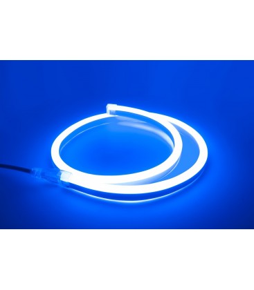 Bande LED Néon 1 Mètre - Eclairage Flexible avec Adaptateur Pile