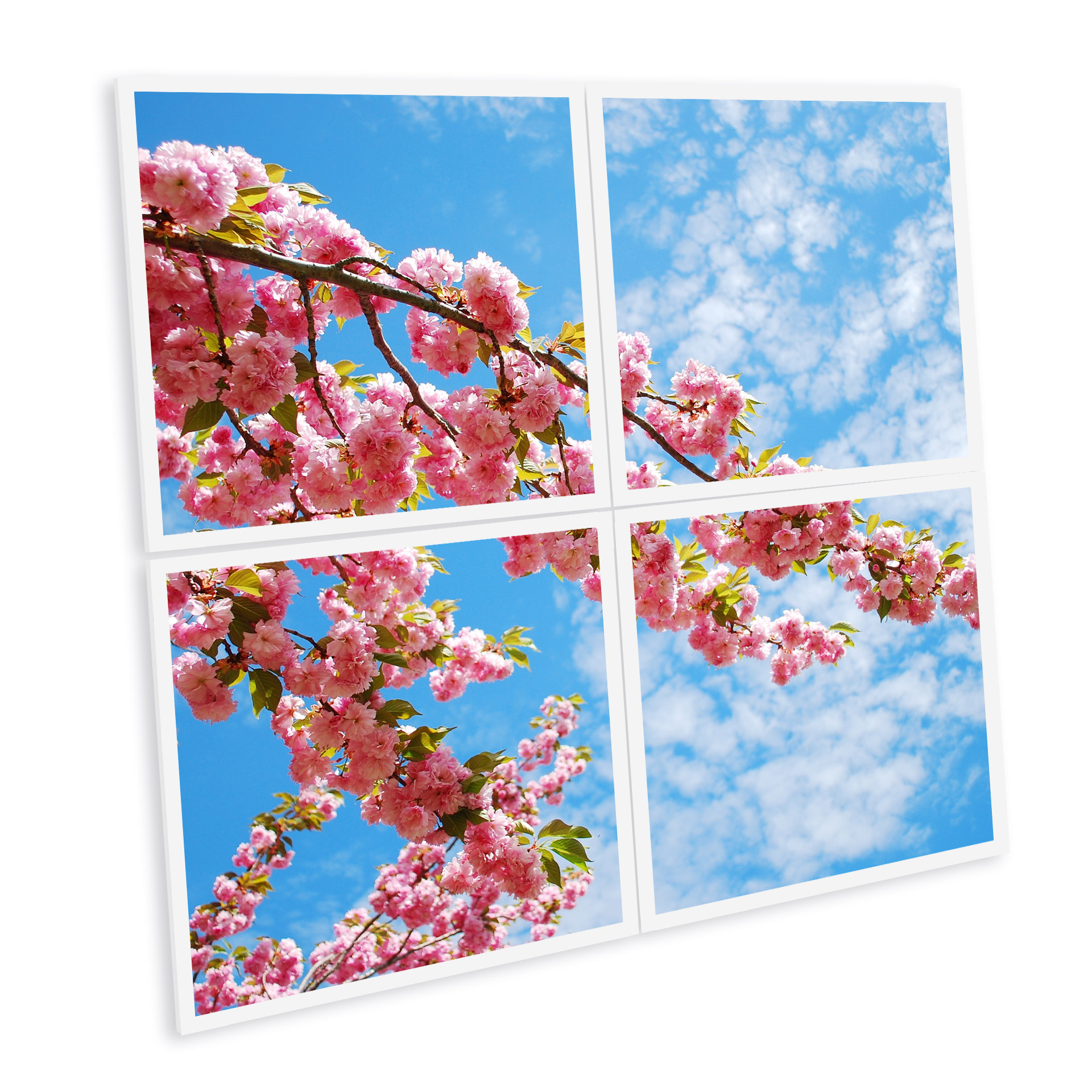 pavé led imprimé ciel cerisiers japon fleur floraison