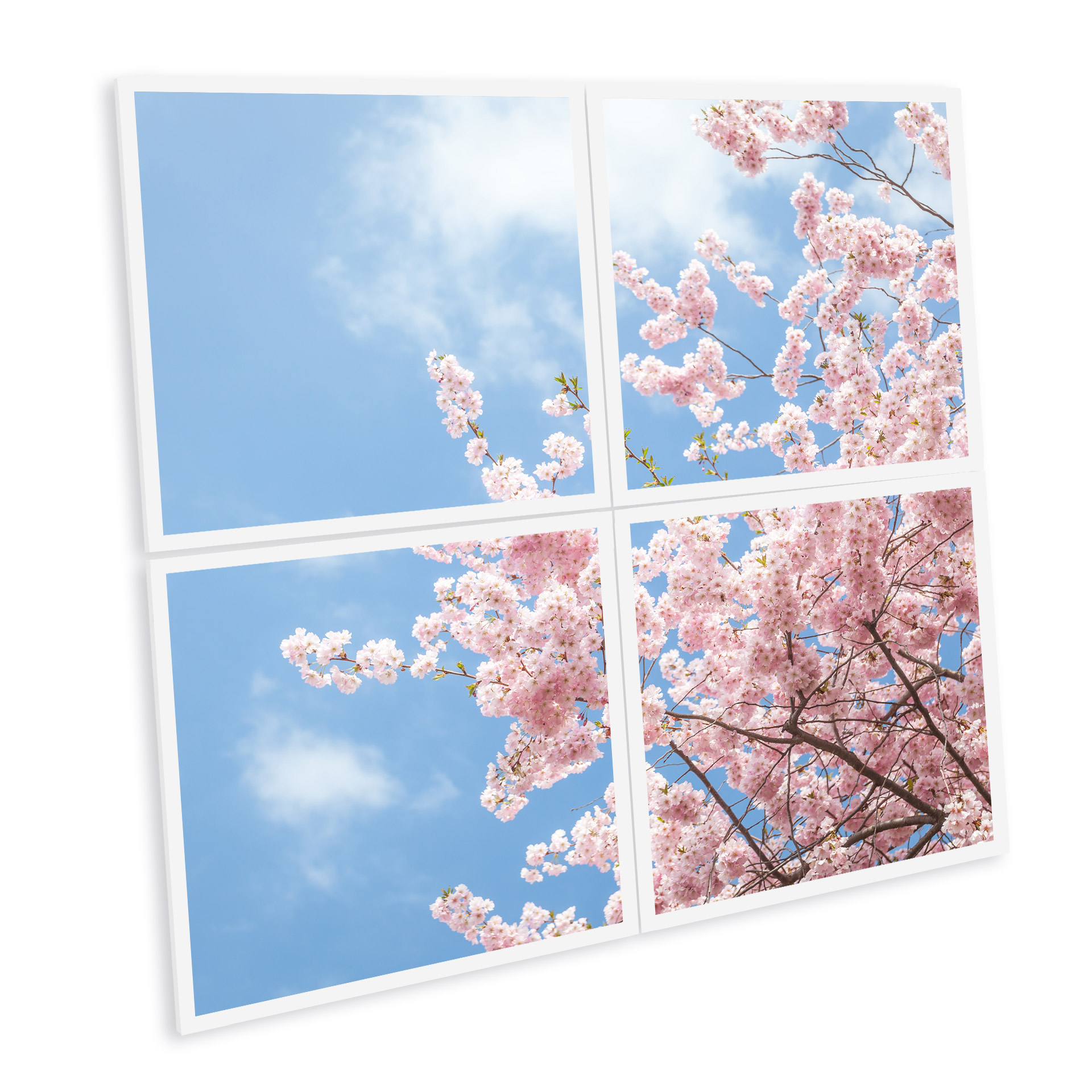 ciel lumineux en dalle led imprimée fleurs cerisiers
