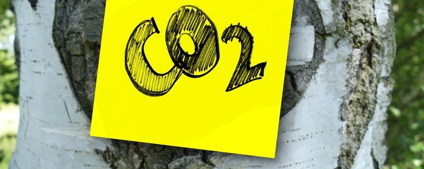 Comment fonctionne un capteur de co2 ?