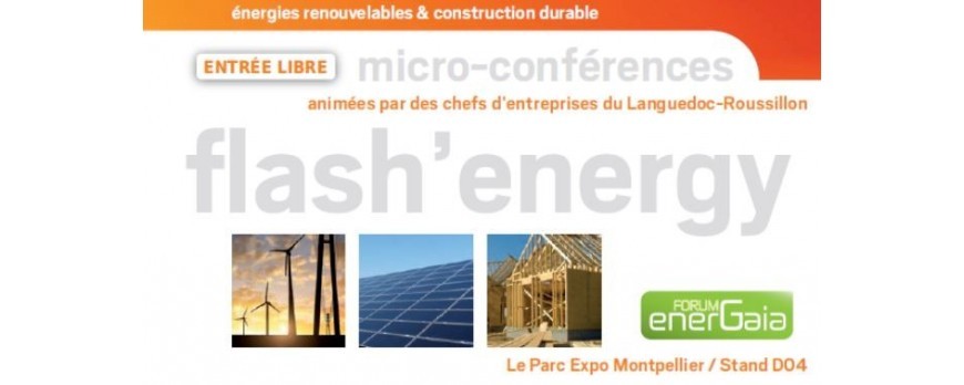 DELILED en micro-conférence au Forum EnerGaïa 2016